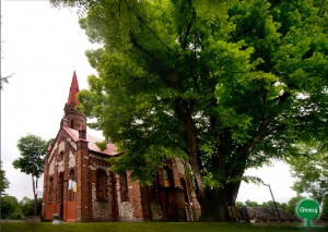 GŁOSUJEMY NA DRZEWO ROKU – LIPA Z CIELĘTNIK