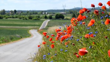 Inwestycje drogowe w gminie Mstów 2021