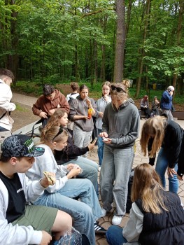 Polsko-Niemiecka Współpraca Młodzieży 