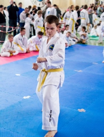 MISTRZOSTWA MAKROREGIONU ŚLĄSKIEGO I MAŁOPOLSKIEGO W TAEKWON-DO ITF