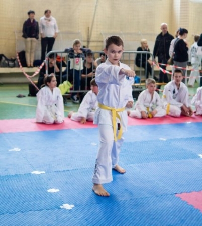 MISTRZOSTWA MAKROREGIONU ŚLĄSKIEGO I MAŁOPOLSKIEGO W TAEKWON-DO ITF