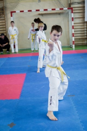 MISTRZOSTWA MAKROREGIONU ŚLĄSKIEGO I MAŁOPOLSKIEGO W TAEKWON-DO ITF