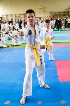 MISTRZOSTWA MAKROREGIONU ŚLĄSKIEGO I MAŁOPOLSKIEGO W TAEKWON-DO ITF