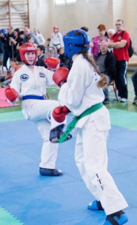 MISTRZOSTWA MAKROREGIONU ŚLĄSKIEGO I MAŁOPOLSKIEGO W TAEKWON-DO ITF